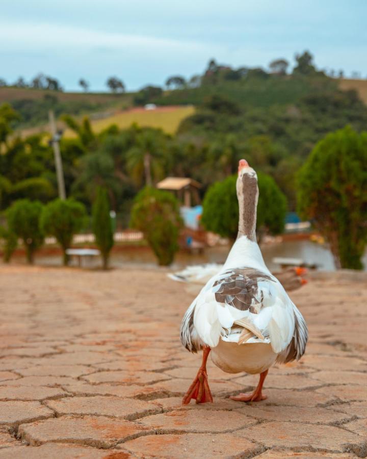 Paraiso Rural Villa Sao Tome das Letras Luaran gambar